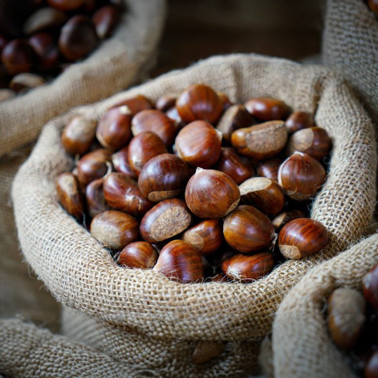 3 castagne (1)